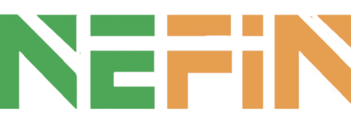 NEFIN logo