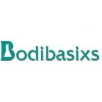 Bodibasixs Manufacturing Sdn Bhd logo