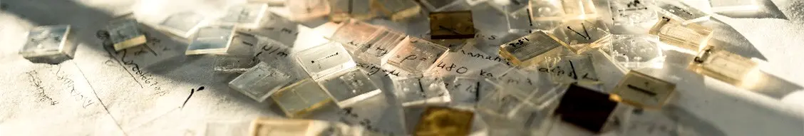 Banner image for Department of Pharmacy, University of Copenhagen