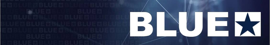 Banner image for Bluestar Engineering Ltd.