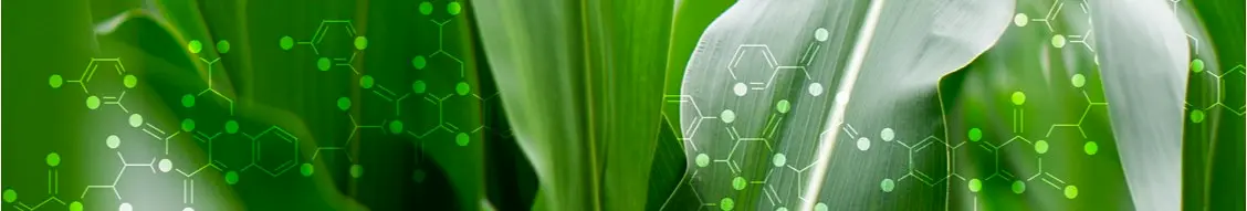 Banner image for LSB Industries, Inc.