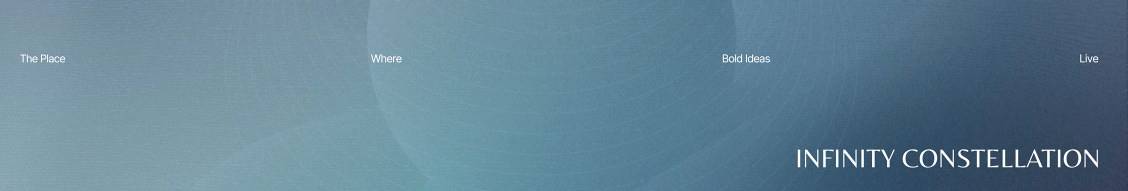 Banner image for Infinity Constellation