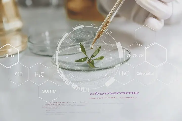 Banner image for Chemarome