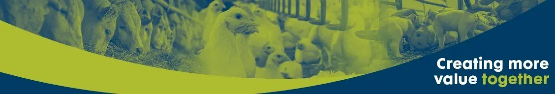 Banner image for Trouw Nutrition