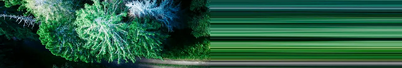 Banner image for Arcadia
