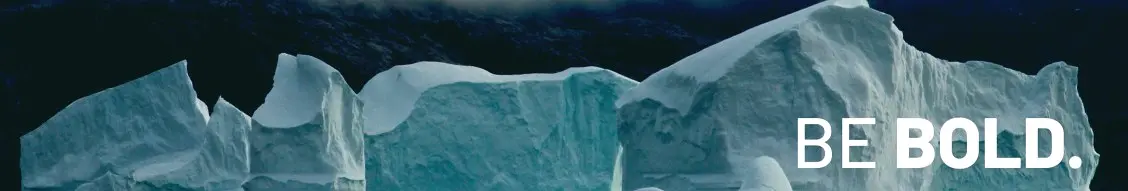 Banner image for Bold Penguin