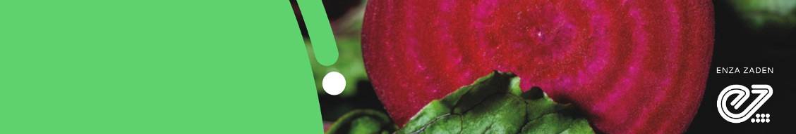 Banner image for Enza Zaden