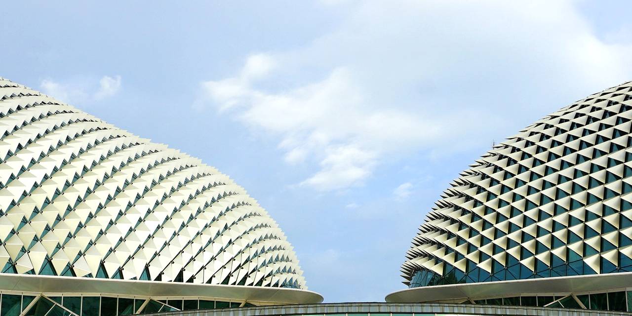 Banner image for The Esplanade Co Ltd