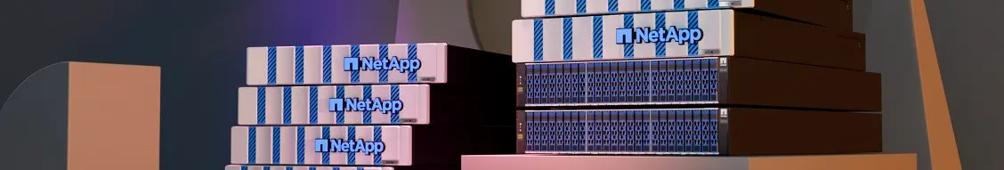 Banner image for NetApp