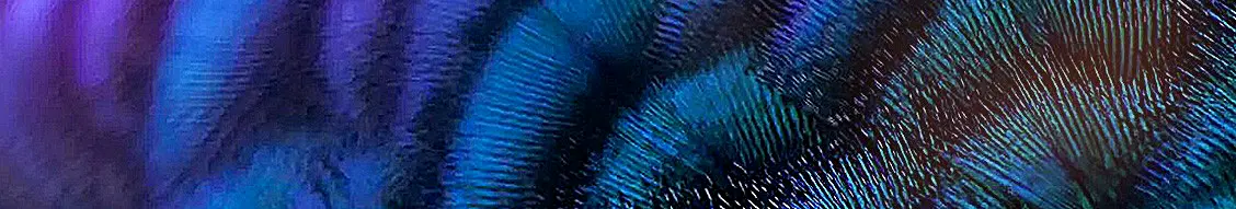 Banner image for Conyers