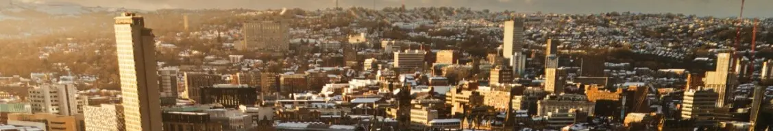 Banner image for Sheffield City Council