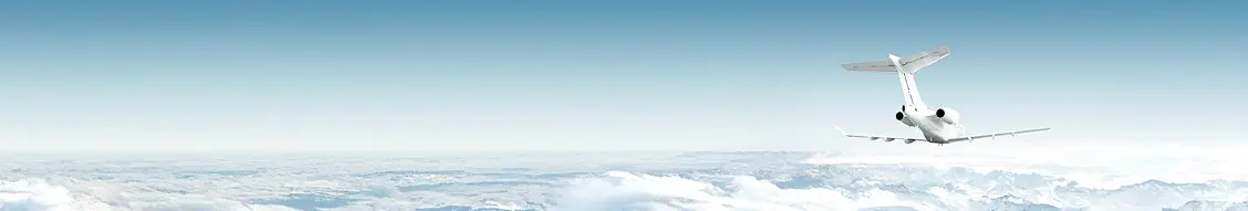 Banner image for Gogo