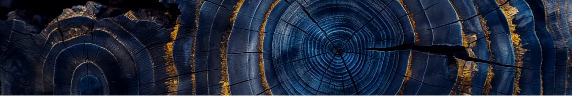 Banner image for GQG Partners
