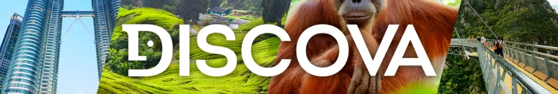 Banner image for Discova
