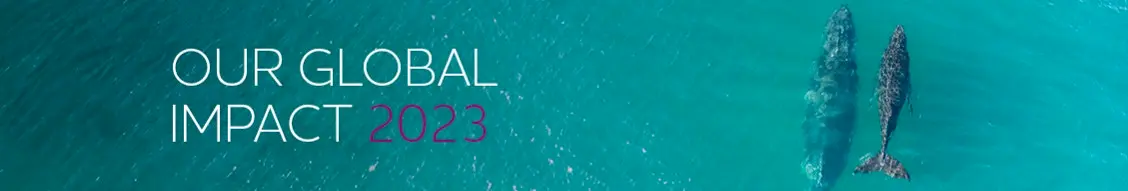 Banner image for Palladium: Make It Possible