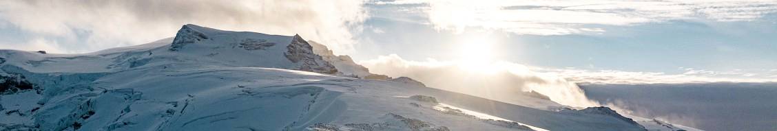 Banner image for Canada Goose