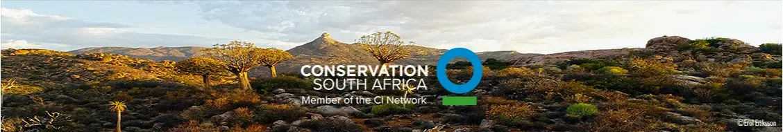 Banner image for Conservation South Africa
