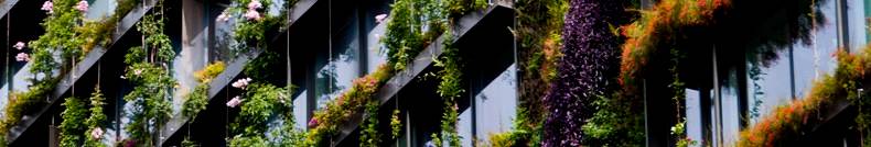 Banner image for Linklaters Asia