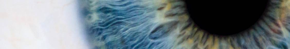 Banner image for LCI