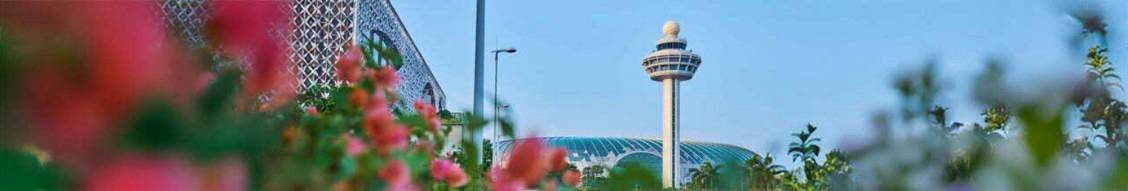 Banner image for Civil Aviation Authority of Singapore