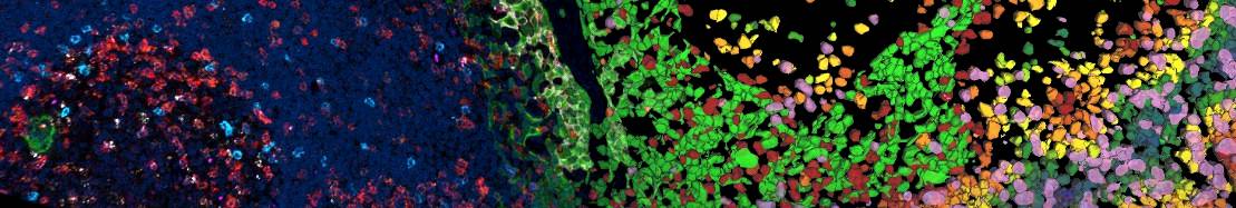 Banner image for Leica Microsystems