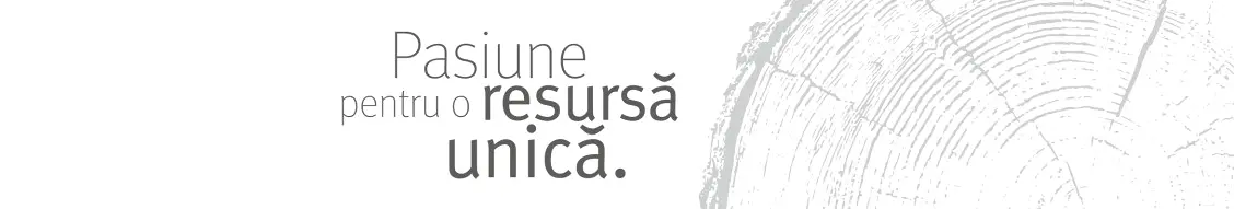 Banner image for EGGER România