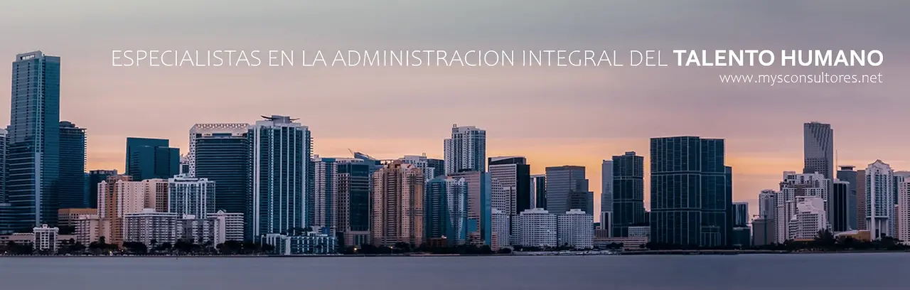 Banner image for MyS Consultores - Headhunters