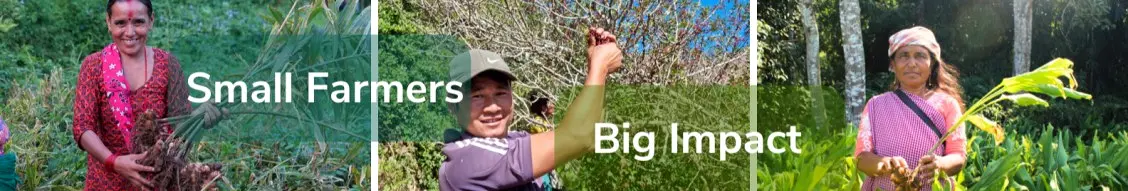 Banner image for aQysta | Small Farmers. Big Impact