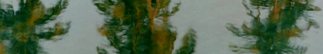 Banner image for Aman