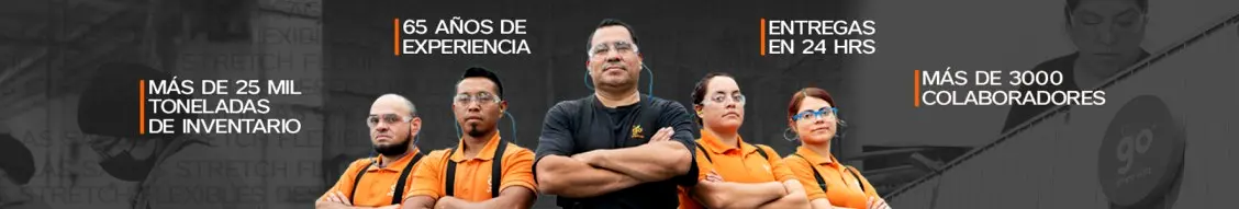 Banner image for GRUPO ORTIZ MX
