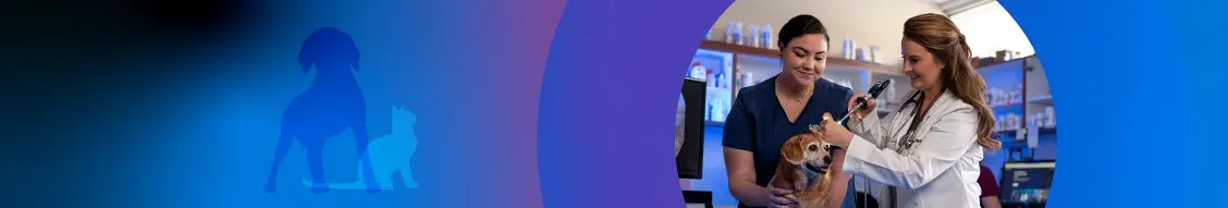 Banner image for BluePearl Pet Hospital