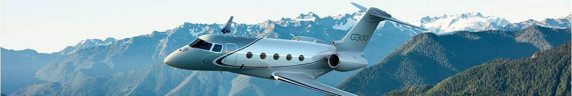 Banner image for Gulfstream Aerospace
