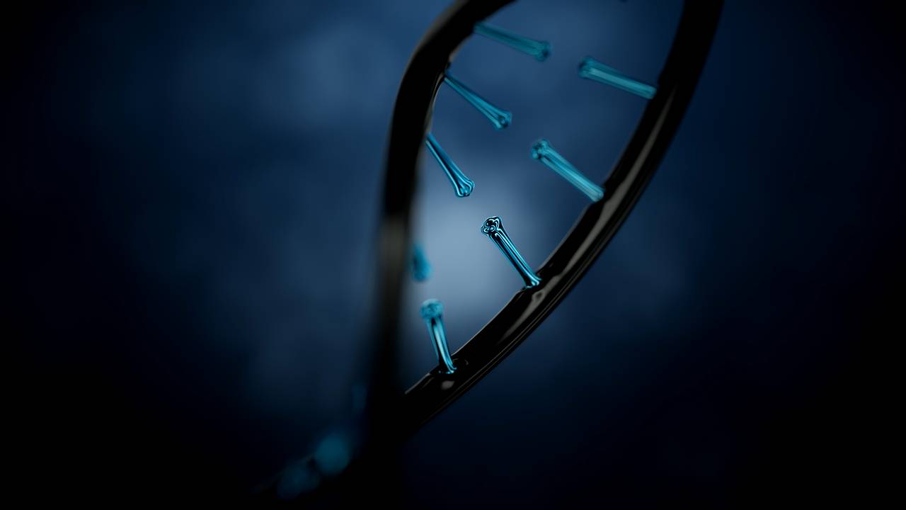 Banner image for PT Infiniti Bioanalitika Solusindo