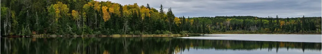 Banner image for Government of Manitoba