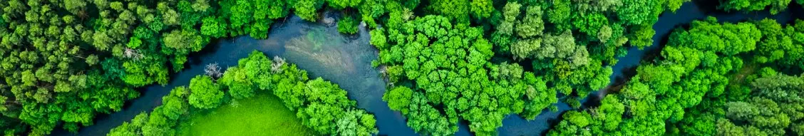Banner image for ISCC – the International Sustainability and Carbon Certification