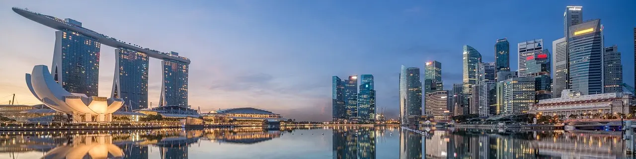 Banner image for Lion Global Investors
