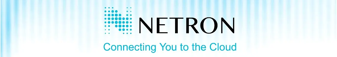 Banner image for Netron Information Technology