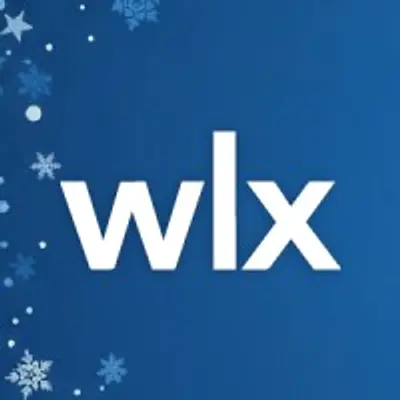 wizlynx group