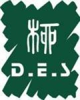 D.E.S DESIGN NETWORK SDN BHD company logo