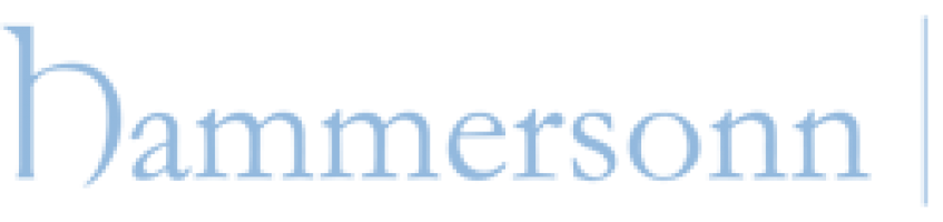 Hammersonn Consulting Sdn Bhd company logo