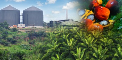 ST Palm Oil Mill Sdn Bhd company logo