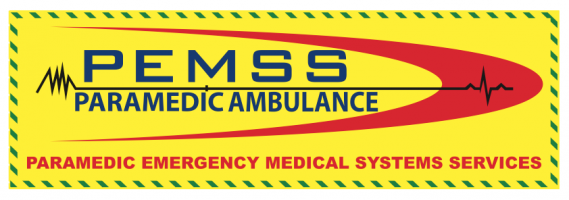 PARAMEDIC EMS SERVICES SDN BHD company logo