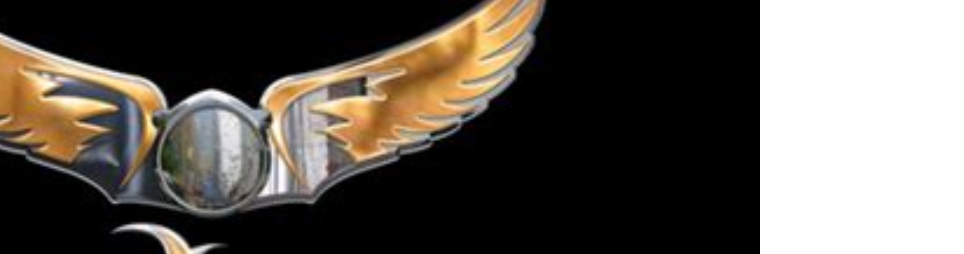 Banner for Wanderers Group