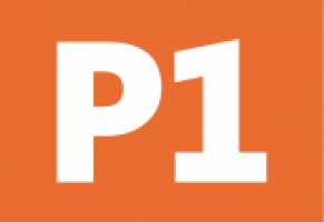 P1 International Sdn Bhd company logo