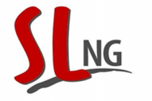 S L NG TRADING AGENCY SDN BHD logo