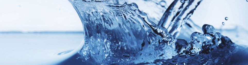 Banner image for PROMINENT FLUID CONTROLS (M) SDN BHD