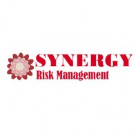 Synergy Risk Management