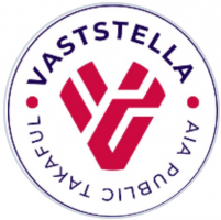 VASTSTELLA GROUP CONSULTANCY company logo