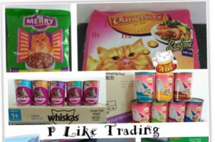 P Like Trading company logo