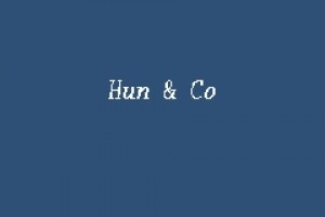 Hun & Co PLT company logo